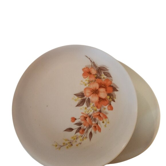 Mar-Crest Melmac Golden Dawn VNTG floral plates & plater - Picture 3 of 4